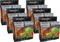 Magic: The Gathering Zendikar Rising Collector Booster Display Case